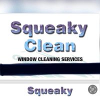 Squeaky Clean Windows DOFO @NewsomeFc (@windows_squeaky) 's Twitter Profile