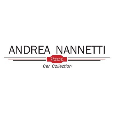 NannettiAndrea Profile Picture