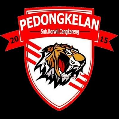 IG : Jakmania_Pedongkelan photo