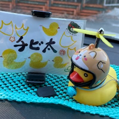 宇都宮市在中のビアンキ オルトレXR3乗り。坂や林道を走るのが好きな山の民。ゆるくらいま〜です。/栃木SCを応援。/弱ペダでは荒北推し。/元BiSHの清掃員/ #チヨクル #あひるCLUB #栃木支部所属 #あひる観光大使/無言フォロー失礼します。 #ティラ活アイドルNo7チビ太ザウルス🦖