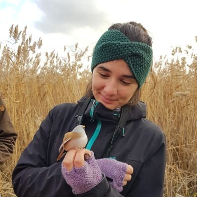PhD student in @luomus. Birds ecology, mountain ecosystems, climate change 🏔🦉