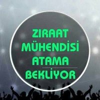 Beyza (@beyzaqp) Twitter profile photo
