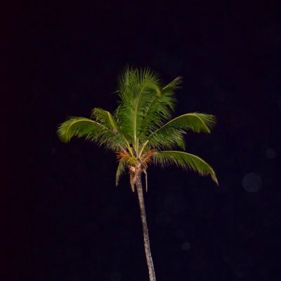 Dirich2's profile picture. Siempre crítico, nunca conforme manteniendo el cambio constante hasta lograr el bien común.