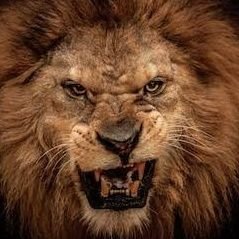 satanpersonal13's profile picture. SADNESS,DEPRESSION, STRESS,ANXIETY,HATRED,VENOM,POISON,DEVIL,SLAVE OF SATAN.PSYCHOPATH,HUGE RED PILL,NEGATIVITY,DISCOURAGEMENT,DISAPPOINTMENT,HARDSHIPS,POOR,