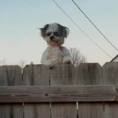 PordanJeterson_'s profile picture. Your bio