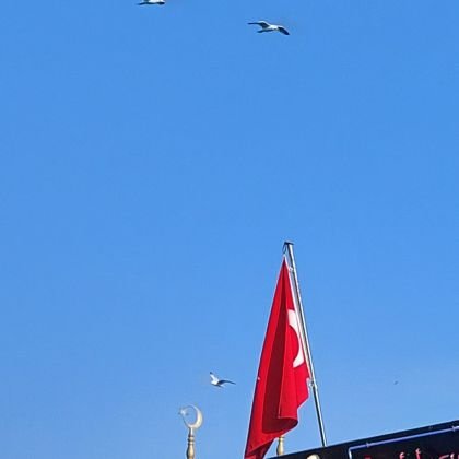 emnmrt1's profile picture. 