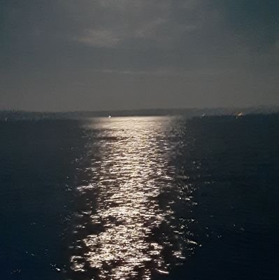 mitAkbu79196523's profile picture. Balıkesir ,Tek aktif erkek