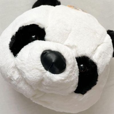 パンダ🐼 (@panda9121129) / X