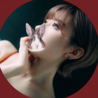popo📸撮影募集中 (@popochan_photo) 's Twitter Profile