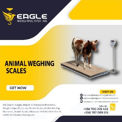 Animal scales, baby scales, gram scales, portable scales, body fat scales, crane scales, electronic scales, travel scales, floor scales, kitchen scales.