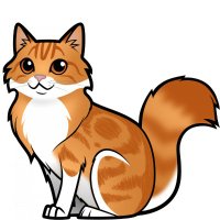 Ann (@mandy43453969) 's Twitter Profile