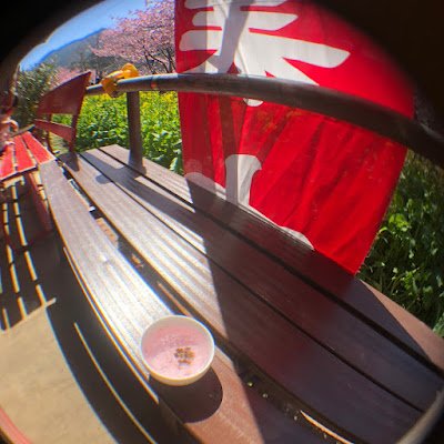 TOU5_chiita's profile picture. TOU5期生 人福 精神 シンママ大学生 アカウント作り直しました… 特にTOU生の皆様 無言フォローいたします🙇‍♀️