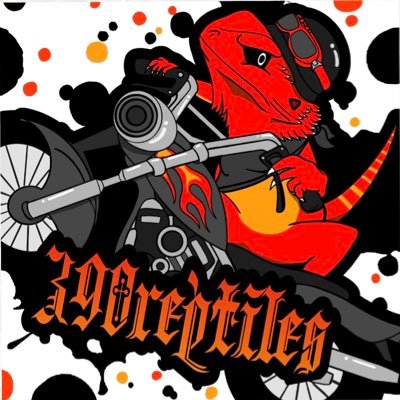 MIKURE🦎🐍390reptiles⚡️さんのプロフィール画像