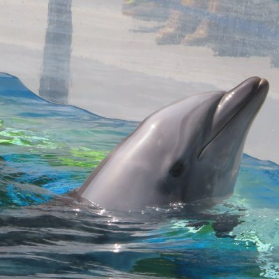 iruka2525_Yuu's profile picture. 趣味で音楽制作してます。
不定期更新です←ここ重要！
主にstudio one primeを使って作曲してます。