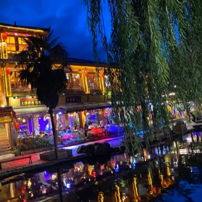 hongvcha's profile picture. 性别男