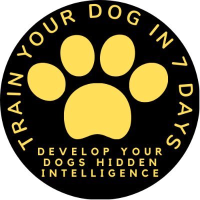 🎯Check Link Below For : 🐶High Quality Dog Training Course Featuring 🐶Games To Improve A Dog's Intelligence 🐕Best dog training ideas 🐾