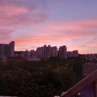 한승우 (@seungwoo0511) 's Twitter Profile