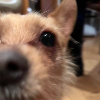 artiiirさんのプロフィール画像