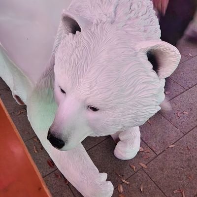 8uppers_k's profile picture. SUPER EIGHT、なにわ男子、Aぇ! groupが好きです。
定時退社に全力のOLが主にAぇのことを呟いてます。もんビバ💙💜