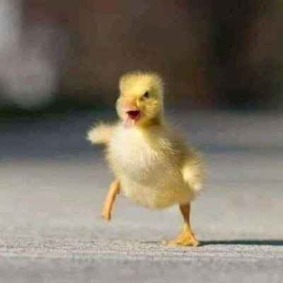 alhryry_w's profile picture. ابحث عن  سيده ساديه مسيطره من القاهره اكون خدام خاضع ليها تحت رجلها تشتمني وتضربني وتعذبني  وتهيني وتذلني وتبهدلني وتكسر عيني بكل الطرق وابقي تحت امرها