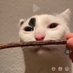 zubumafu (@ranuwudom) Twitter profile photo zubumafu (@ranuwudom) Twitter profile photo