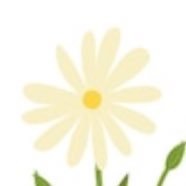 mayurinkot's profile picture. EXIT. Novelbright                                        ⭐️無言フォロー失礼します⭐️