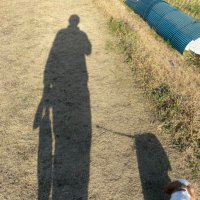 Eティノ (@yotynodayo) 's Twitter Profile Photo