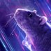 Special Rat (@specialratt) Twitter profile photo Special Rat (@specialratt) Twitter profile photo