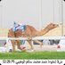 سهيل النهدي (@suhailnahdy) Twitter profile photo سهيل النهدي (@suhailnahdy) Twitter profile photo