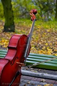 NadiaCello's profile picture. La probabilidad de que un suceso ocurra es inversamente proporcional a su deseabilidad