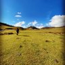 gokhanocalan's profile picture. Tokat'ın güzel ve şirin ilçesi Erbaa'dan, Fenerbahçeli, Ph.D. adayı @ktu_uls