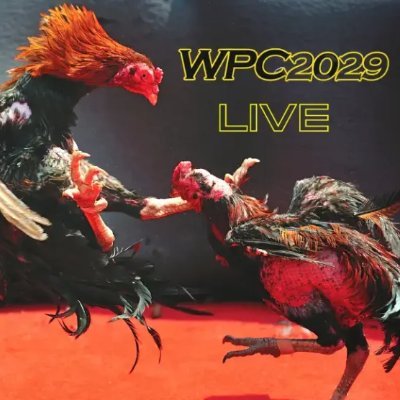 wpc2023live's profile picture. Guide on wpc2023 live dashboard | wpc2023 live | wpc2023 registration, wpc2023 login account, wpc2023 login