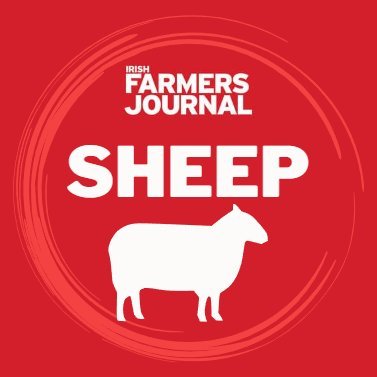 The latest sheep specific news and information from the 
@farmersjournal team all in one place