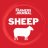 FJ Sheep