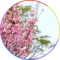 kaoru (@_tkaoru2_) 's Twitter Profile Photo