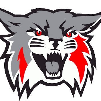 @CatMafia17u
