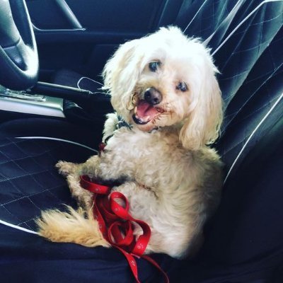 xwildnfruityx's profile picture. You will never be happy if you continue to search for what happiness consists of. You will never live if you are looking for the meaning of life.