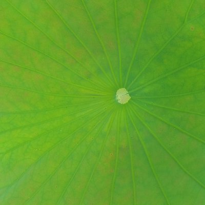 hutaming's profile picture. Professional Illustrator