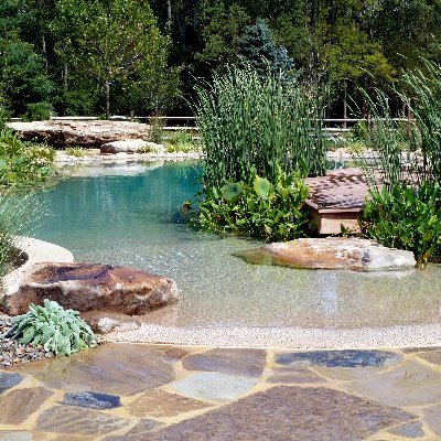 BioNova Natural Pools are leading America's change to sustainable swimming pools. Swim Natural!