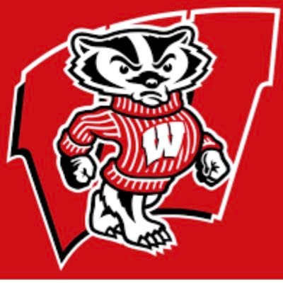 Badger sports fan