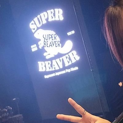 SUPER BEAVER好きฅ۶•ﻌ•♡友の会♡6/16大阪🏯9/1香川🌊11/9鳥取🐫