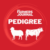 FJ Pedigree (@fj_pedigree) 's Twitter Profile Photo FJ Pedigree (@fj_pedigree) 's Twitter Profile Photo