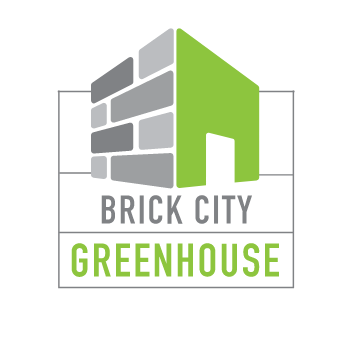 BrickCityGH Profile Picture