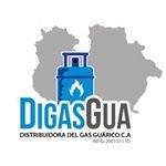 DIGASGUA (@digasguarico) 's Twitter Profile