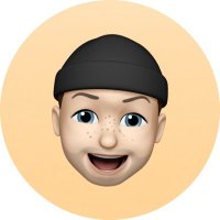Jelle Stolwijk (@stollly) 's Twitter Profile