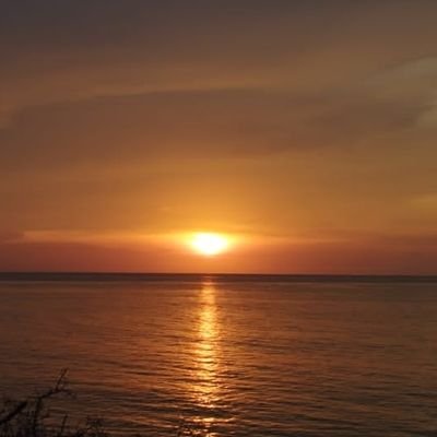 felixionics's profile picture. 