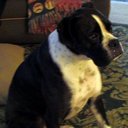 Bruce Chastain - @BruceC1964 - Twitter