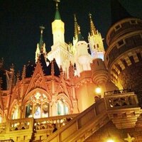 シンディー (@yuyu24yu) 's Twitter Profile