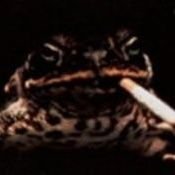 𝗮𝗲𝘀𝗰 𝘁𝗵𝗲 𝗴𝗮𝘆𝘃𝗶𝗼𝗿さんのプロフィール画像