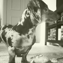 Bob Hood - @Bob_Hood83 - Twitter